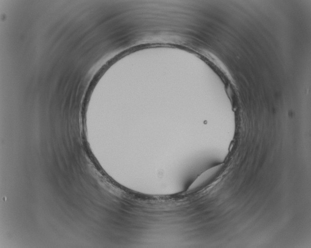 X0000067390980200604281838