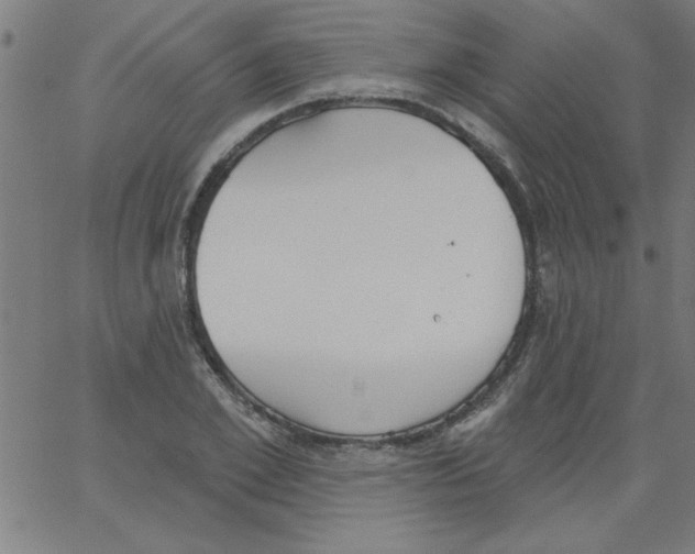 X0000067390981200604281838