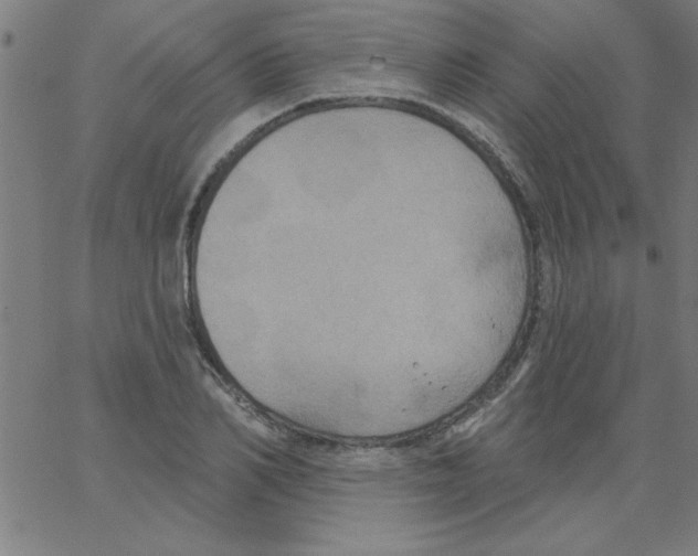 X0000067390982200604281838