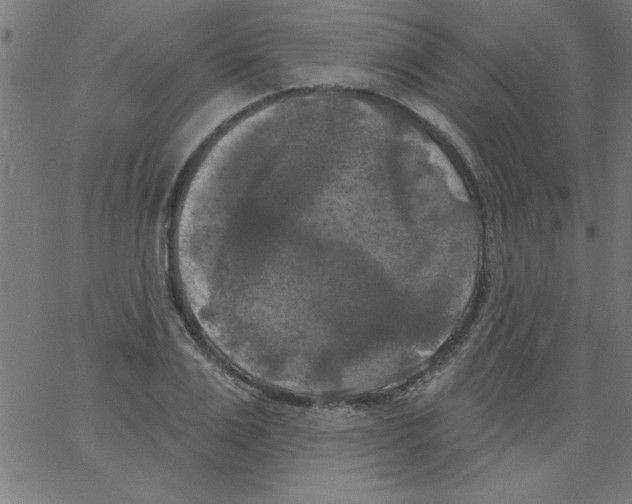 X0000067390983200604281838