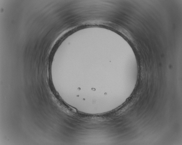 X0000067390984200604281838