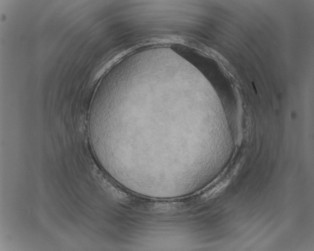 X0000067390985200604281838