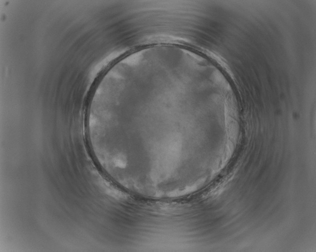 X0000067390987200604281838