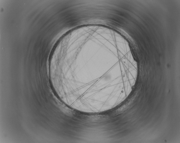 X0000067390988200604281838