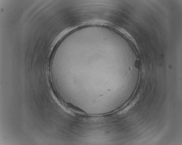 X0000067390989200604281838