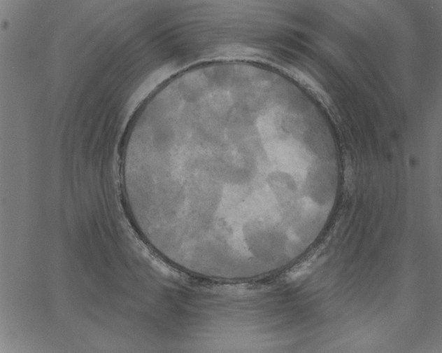 X0000067390990200604281838