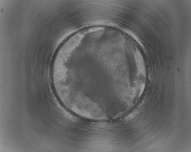 X0000067390991200604281838