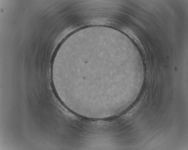 X0000067390992200604281838