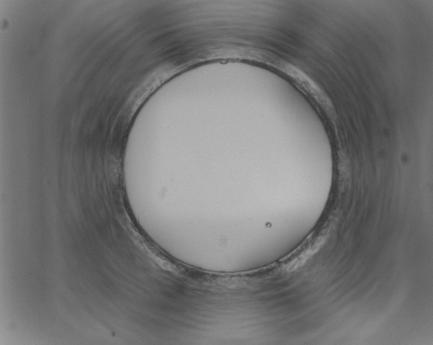 X0000067390993200604281838