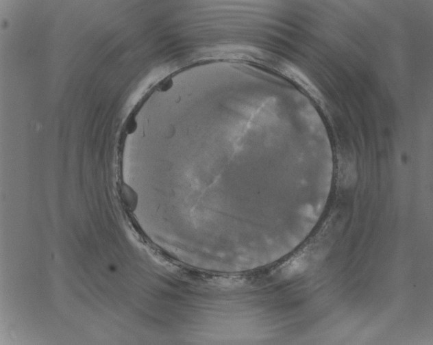 X0000067390994200604281838