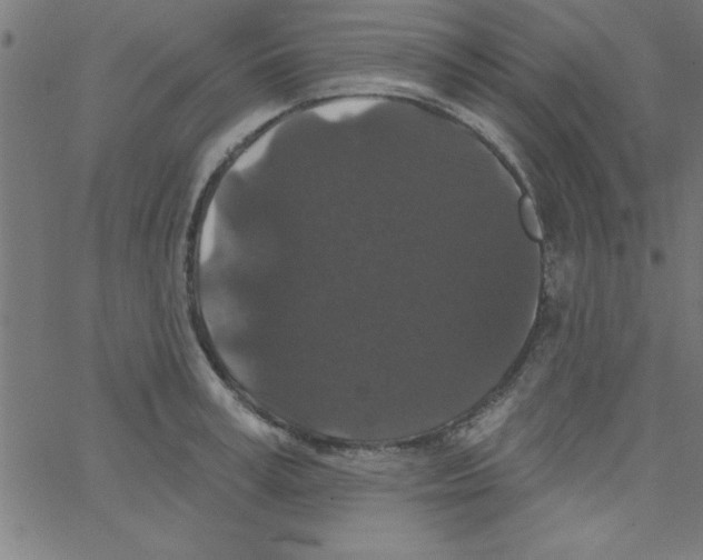 X0000067390995200604281838