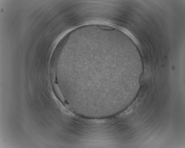 X0000067390996200604281838