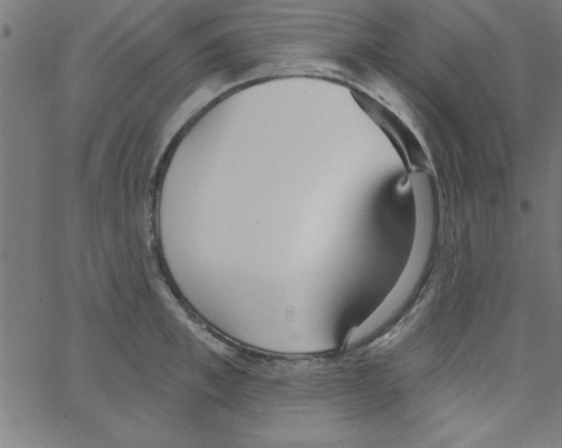 X0000067390997200604281837