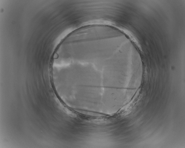 X0000067390998200604281837