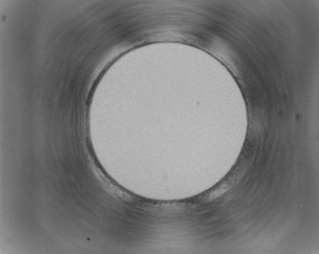 X0000067391000200604281837