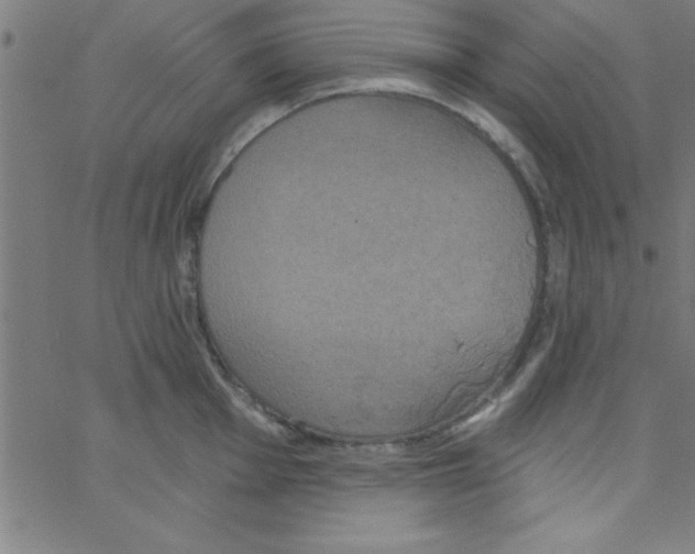 X0000067391001200604281837