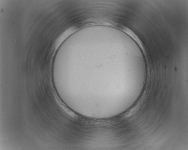 X0000067391002200604281837