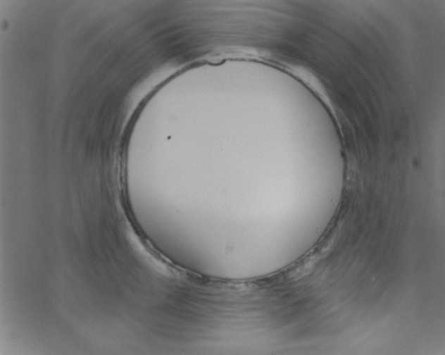 X0000067391003200604281837