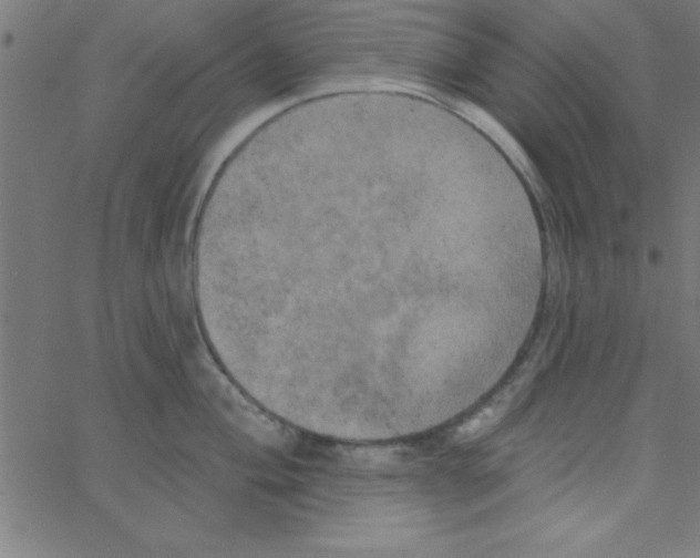 X0000067391004200604281837