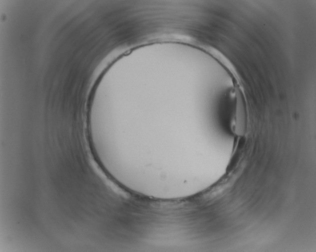 X0000067391005200604281837