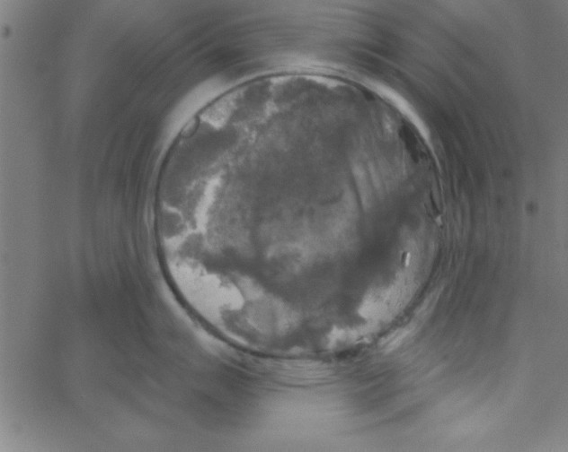 X0000067391007200604281837