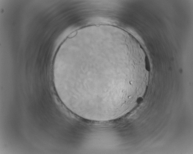 X0000067391008200604281837