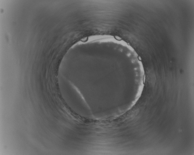 X0000067391009200604281836