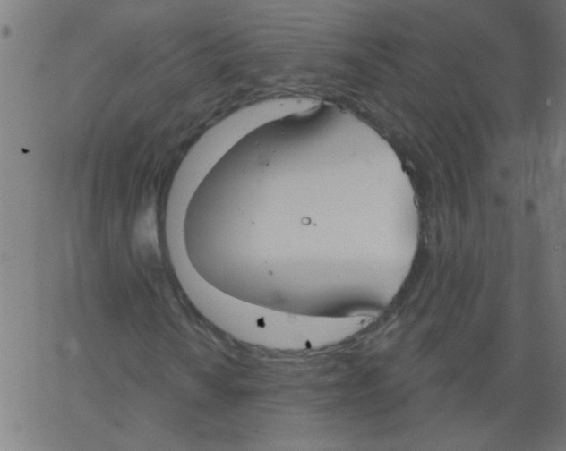 X0000067391010200604281836