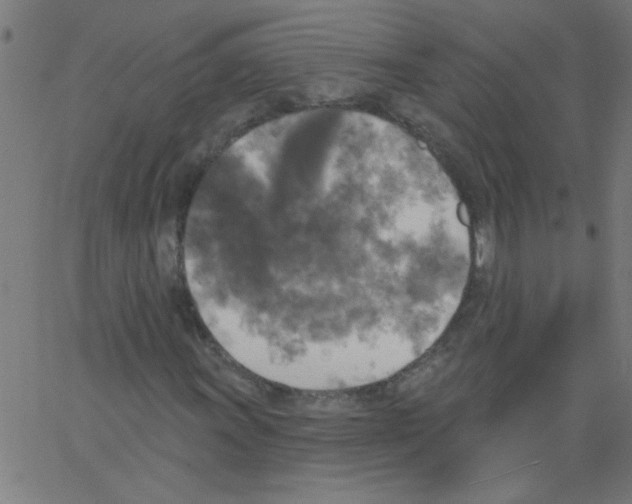 X0000067391011200604281836