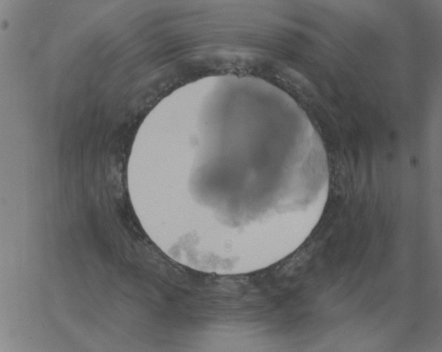 X0000067391013200604281836