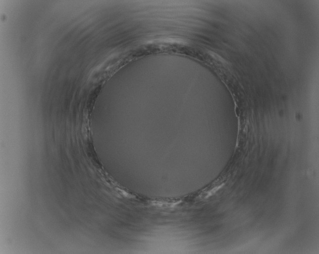 X0000067391014200604281836