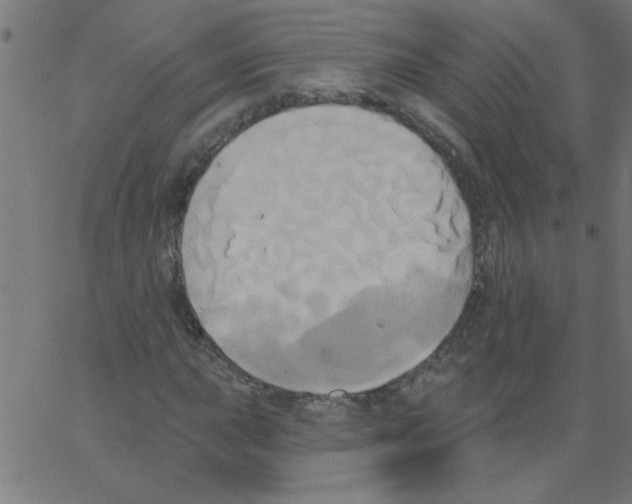 X0000067391015200604281837