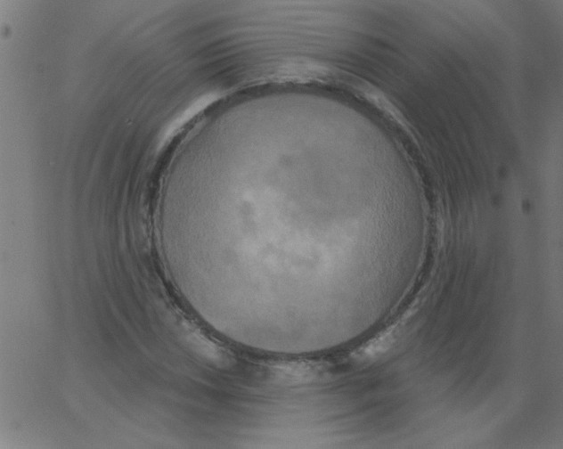 X0000067391018200604281837