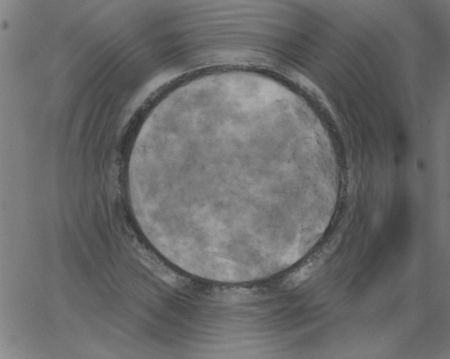 X0000067391019200604281837