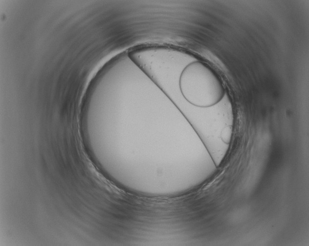 X0000067391020200604281837