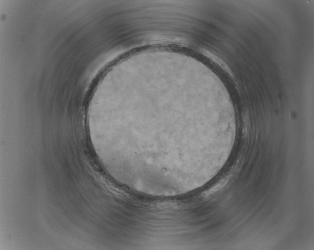 X0000067391021200604281837