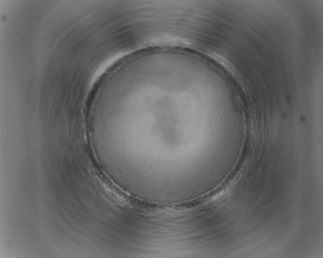 X0000067391022200604281837