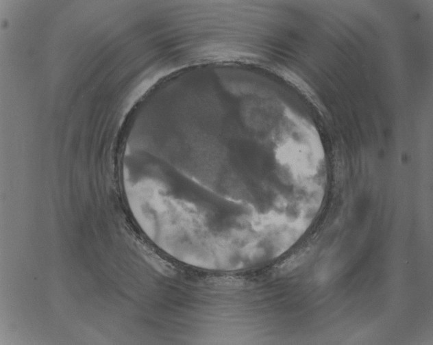 X0000067391023200604281837