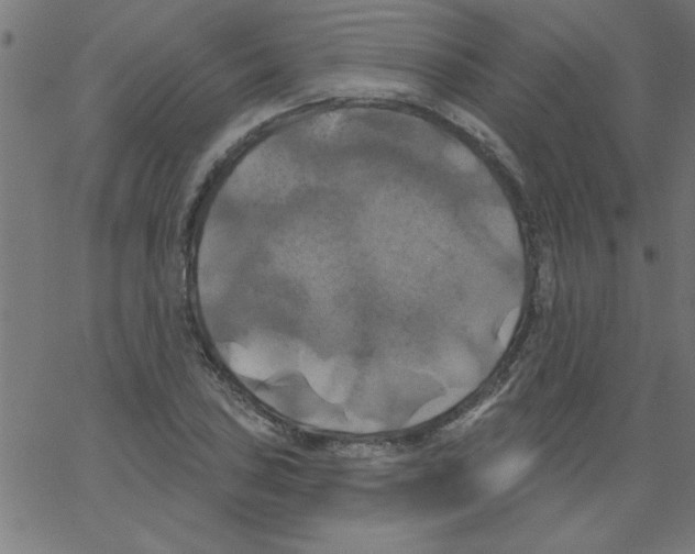 X0000067391027200604281837