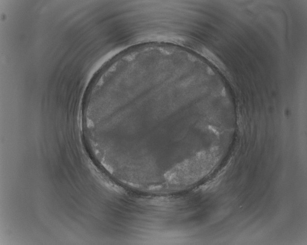 X0000067391028200604281837