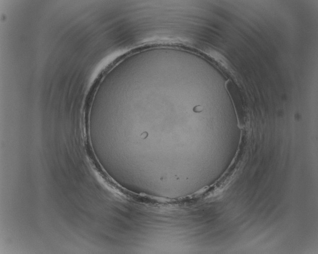 X0000067391030200604281837