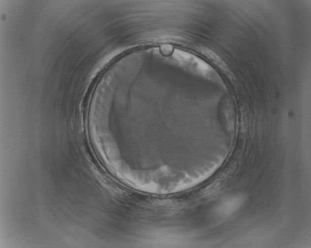 X0000067391031200604281837