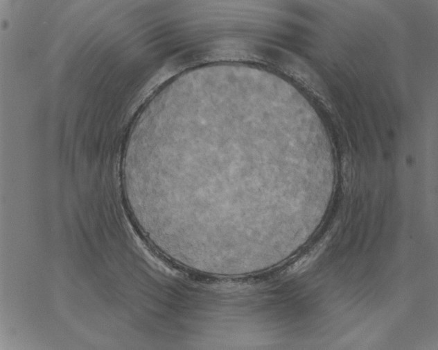 X0000067391033200604281837