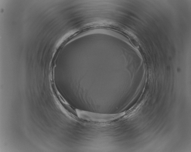 X0000067391034200604281837