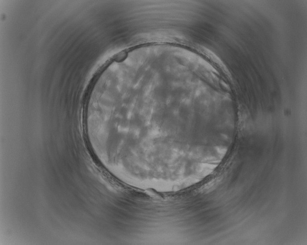 X0000067391035200604281837