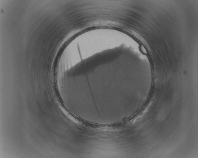 X0000067391037200604281837