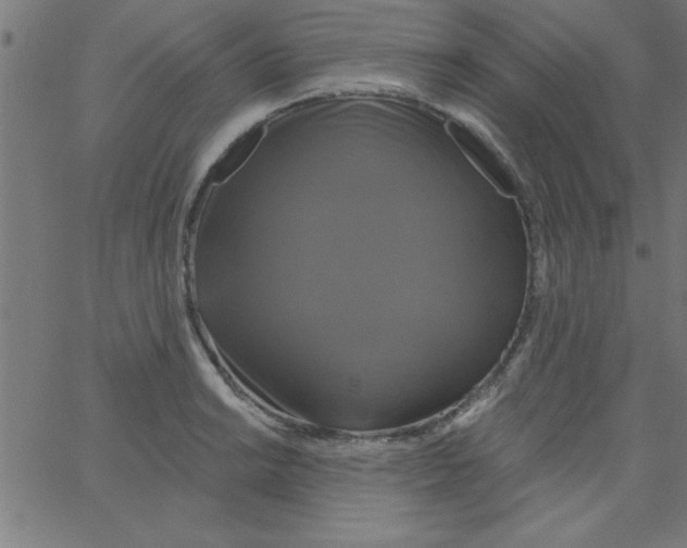 X0000067391038200604281837