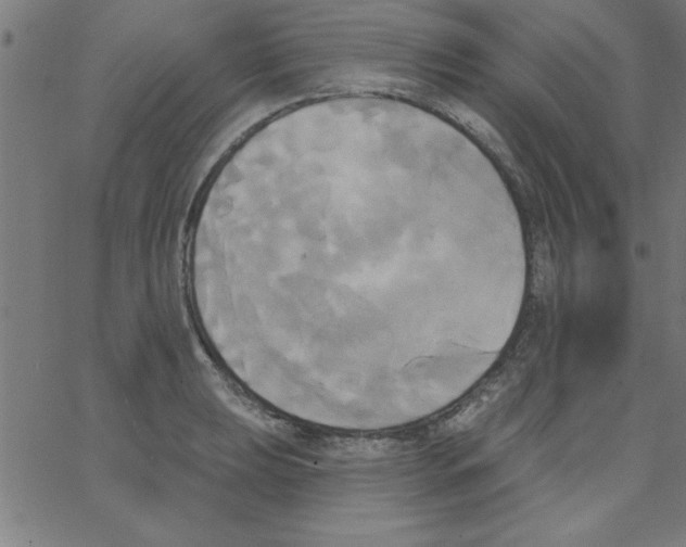 X0000067391039200604281837