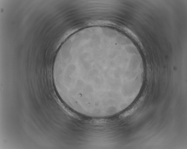 X0000067391041200604281837