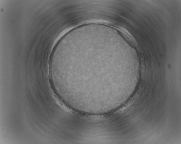 X0000067391044200604281837